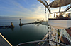 Event Riesenrad Panoramica